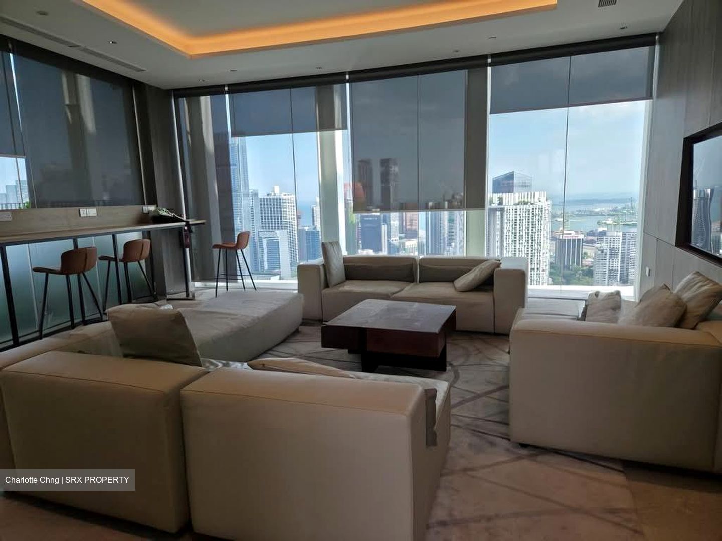 One Pearl Bank (D3), Apartment #540820451